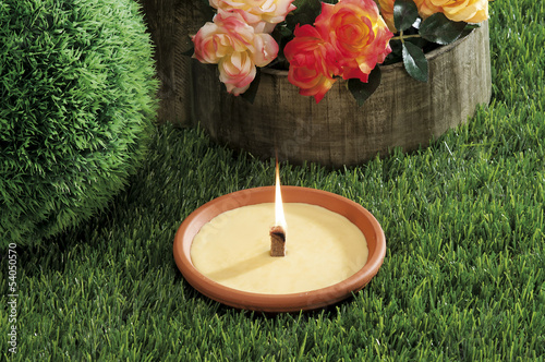 lemongrass candles for mosquito's prick