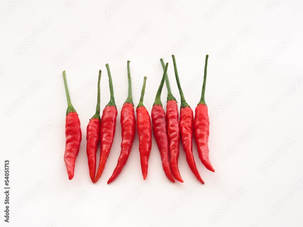 Red chili pepper isolated on white background Red chili pepper isolated on white background