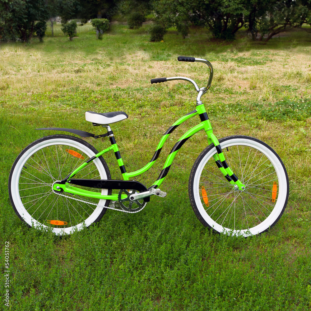 Green bicycle standing on green meadow