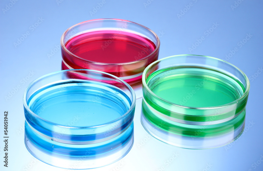 color liquid in petri dishes on blue background color liquid in petri dishes on blue background