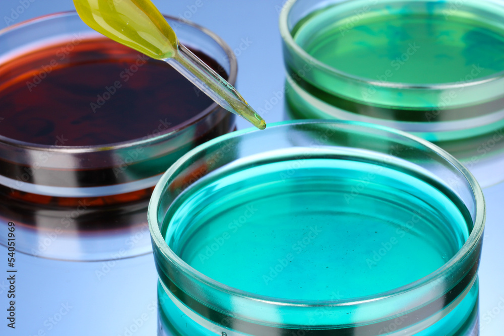 color liquid in petri dishes on blue background color liquid in petri dishes on blue background