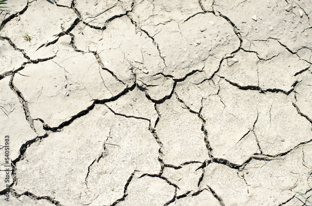 Fototapeta premium Dry ground texture with cracks