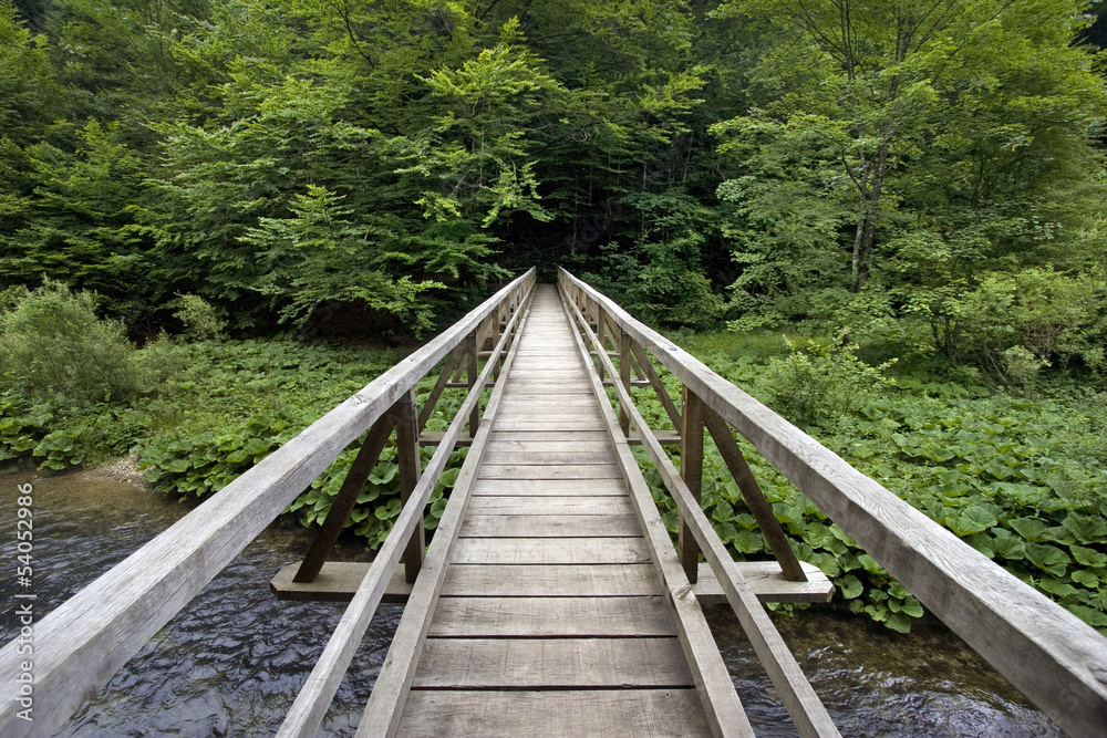 Wooden bridge in canyon of river Kamacnik in Croatia Wooden bridge in canyon of river Kamacnik in Croatia
