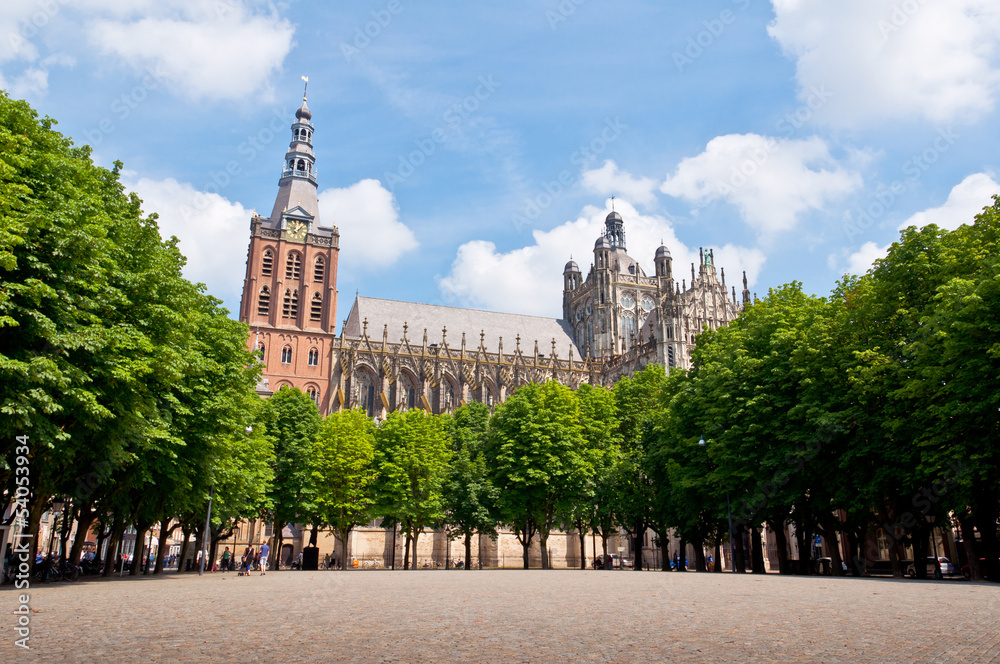 Beautiful Gothic Cathedral in Den Bosch City, Netherlands - obrazy, fototapety, plakaty 