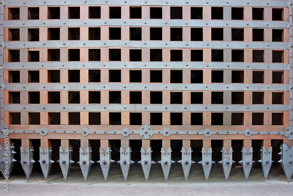 The gate of the castle The gate of the castle