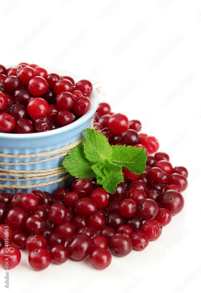 Ripe red cranberries in bowl, isolated on white. Ripe red cranberries in bowl, isolated on white.