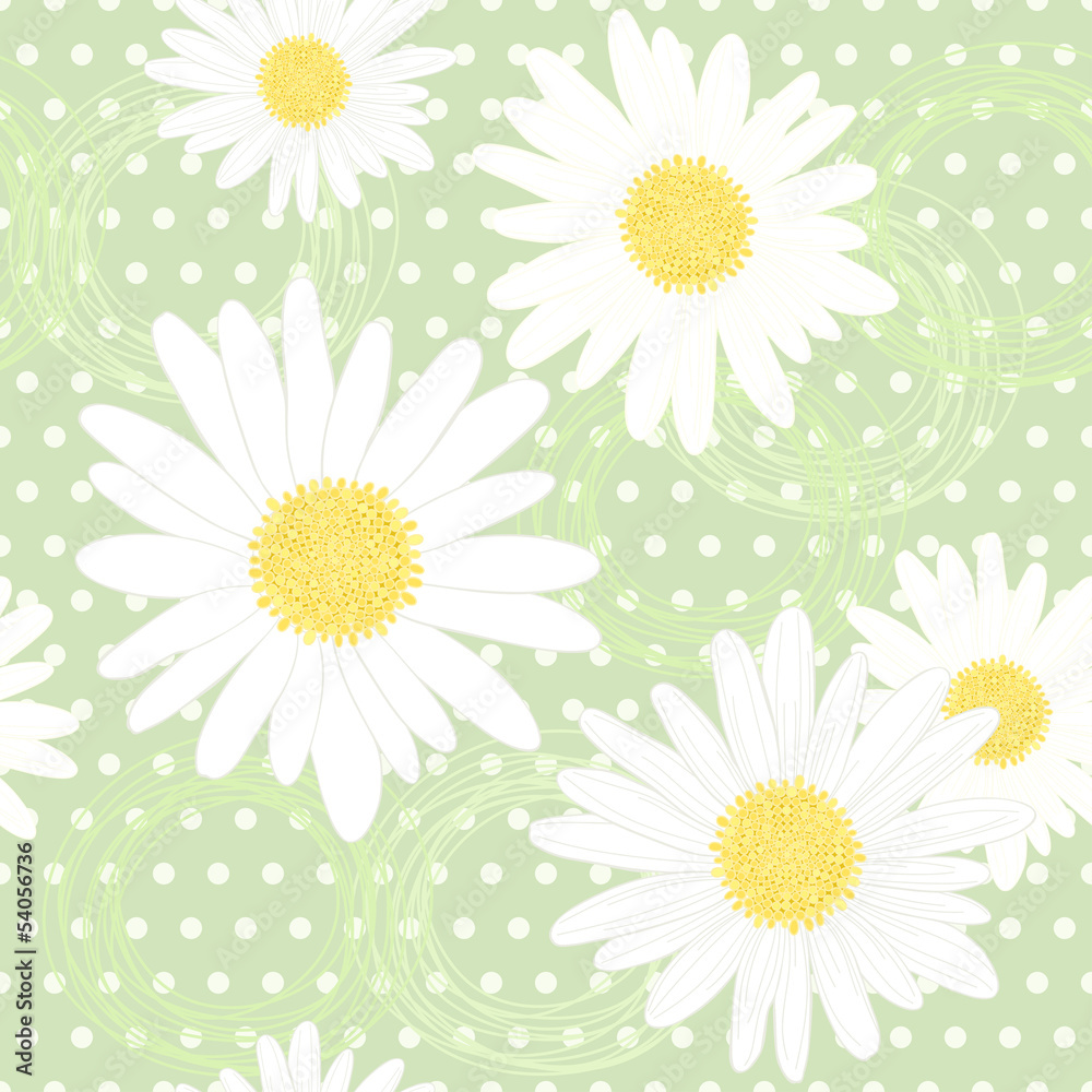 Seamless pattern with camomiles Seamless pattern with camomiles