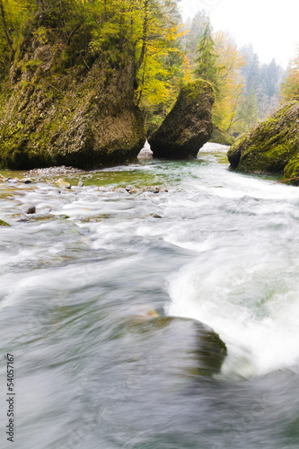 Obraz na płótnie autumn forest stream w salonie