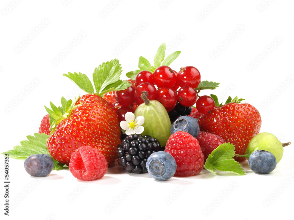 Beeren - Verschiedene Beerenfrüchte mit Blätter und Blüten Beeren - Verschiedene Beerenfrüchte mit Blätter und Blüten