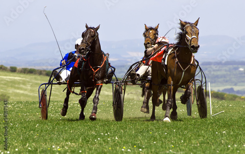 Trotting Race Synod Inn Cardigan Wales