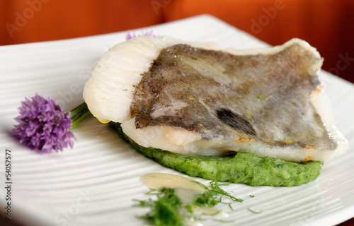 Fine dining, John Dory fish fillet on spinach puree