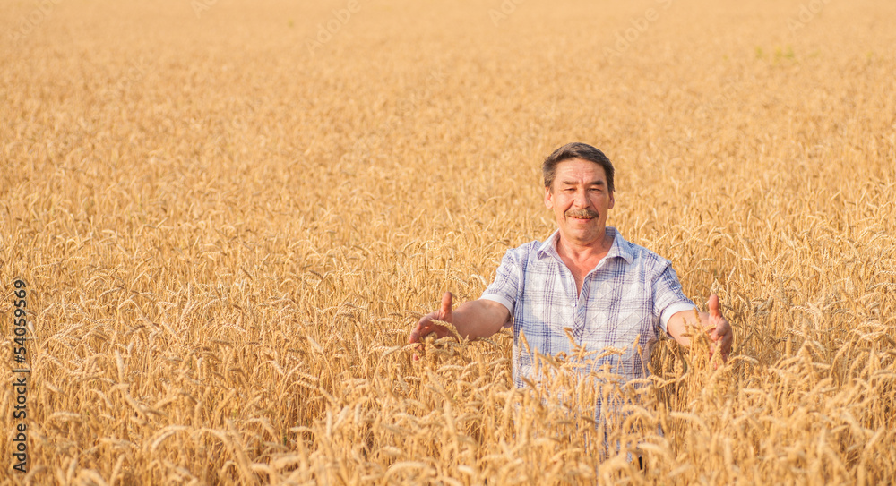 farmer standing in a wheat field farmer standing in a wheat field