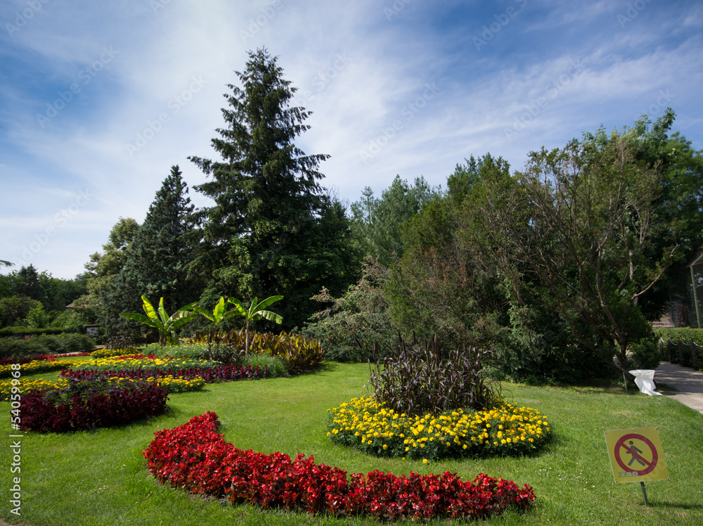 Park with arranged flowers and trees