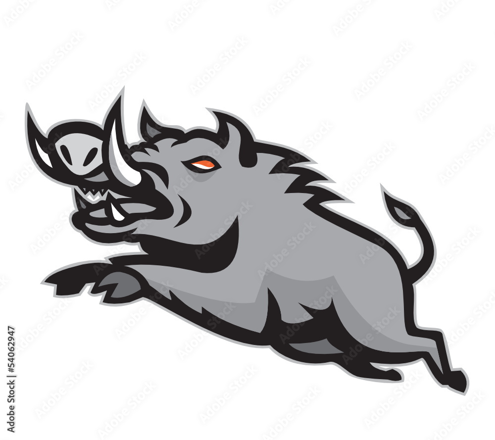 Wild Pig Boar Jumping Isolated