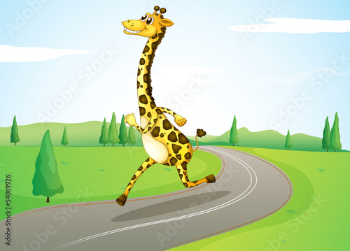 A giraffe running along the road