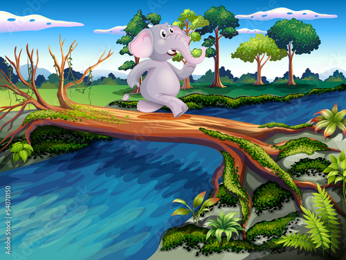 An elephant crossing a tree bridge