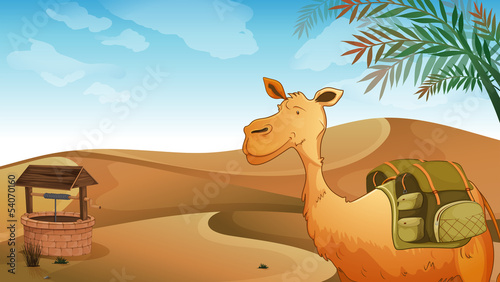 A camel with a well at the desert