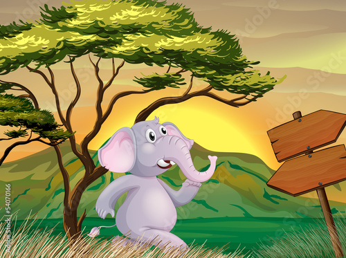 An elephant following the arrow signboards