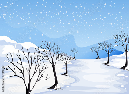 A place covered with snow