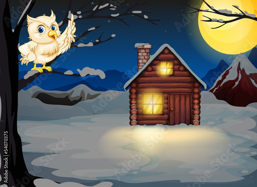 An owl at the branch of a tree near the lighted house