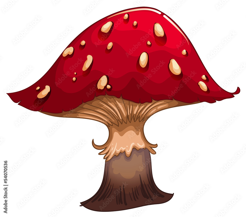 A giant red mushroom