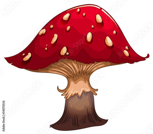 A giant red mushroom photo
