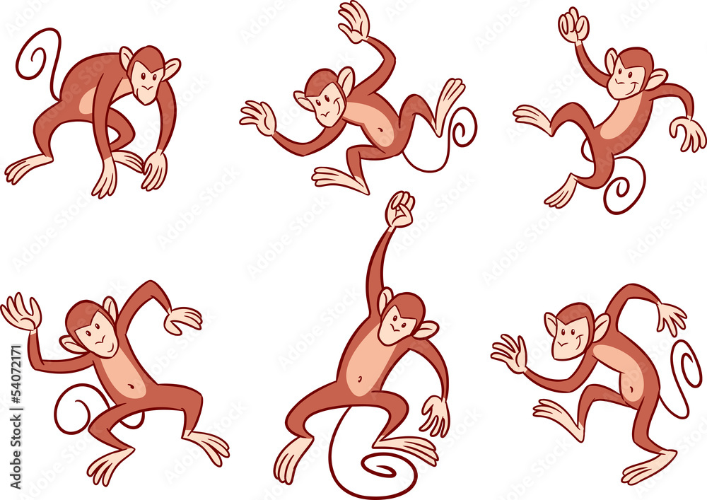 Naklejka premium monkeys