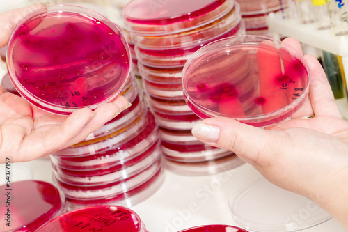 microbiological laboratory