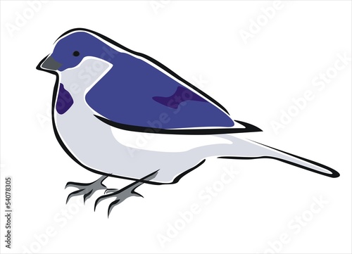 pájaro azul