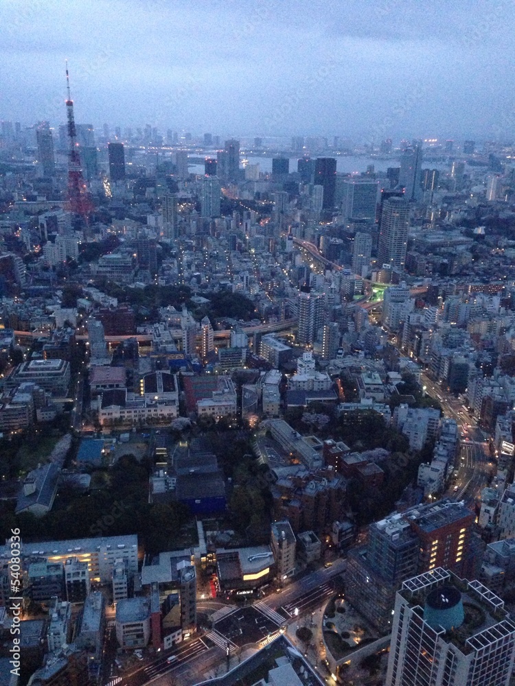 Naklejka premium 東京の夜明け