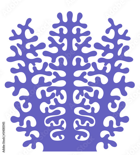 Coral