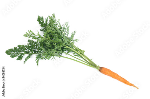 one young carrots with green leaves isolated on white background