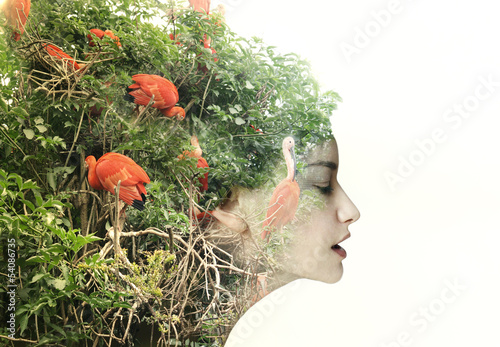 Woman with flamingo hair
