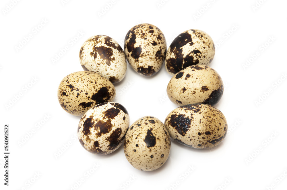 quail eggs quail eggs