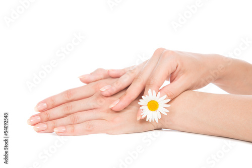 hands french manicure with camomile daisy flower i