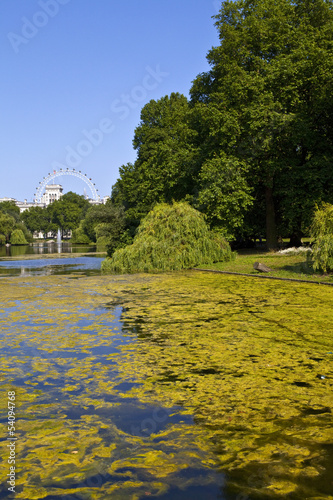 View from St. James's Park in London © chrisdorney