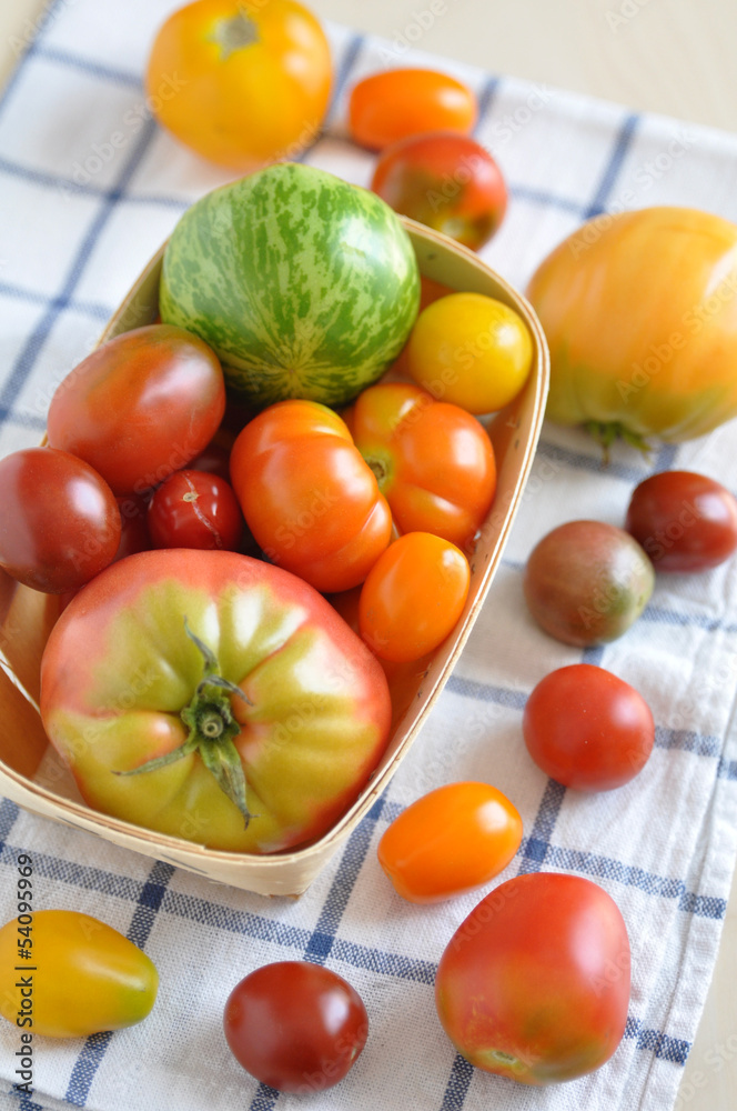 Alte Tomaten Sorten Alte Tomaten Sorten