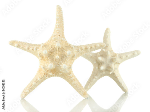 White starfishes isolated on white