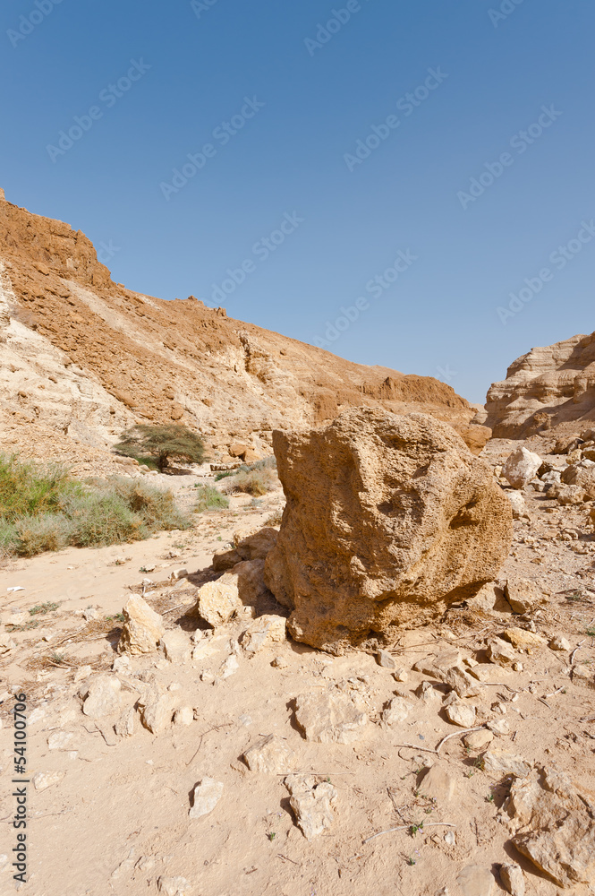 Fototapeta premium Holy Land