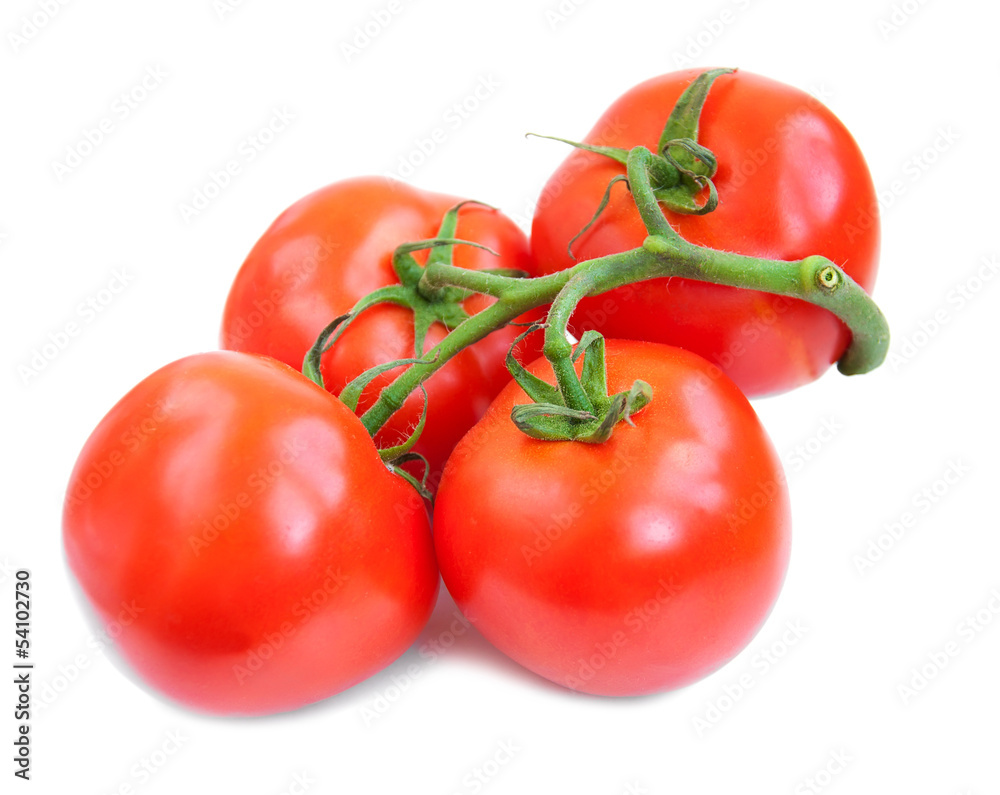 Tomatoes, basil and garlic Tomatoes, basil and garlic