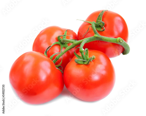 Tomatoes, basil and garlic © Es75