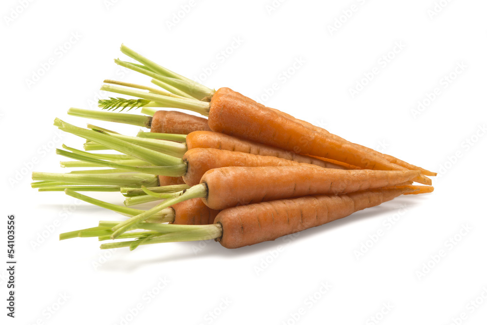 Fresh Carrots isolated on a White Background
