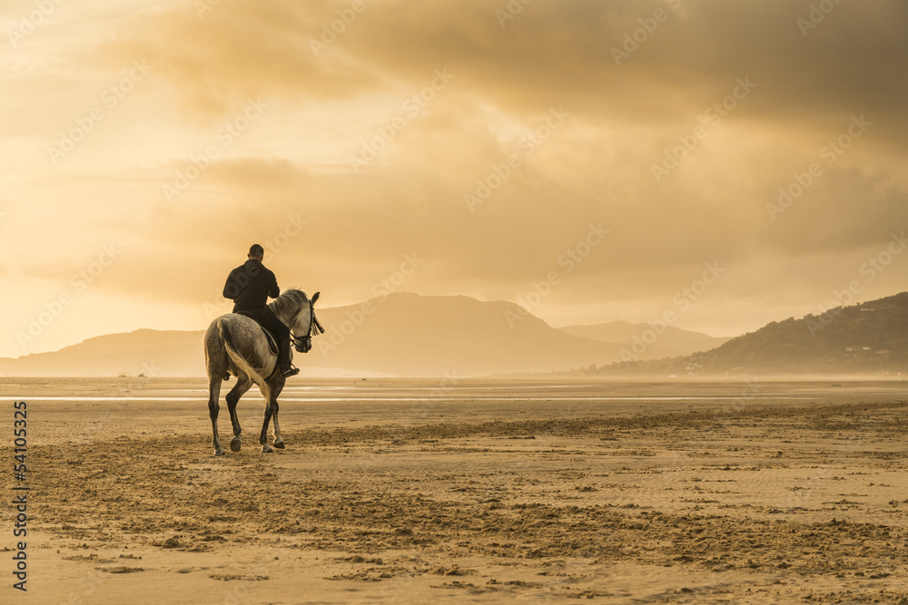 Horse riding on beach - obrazy, fototapety, plakaty 