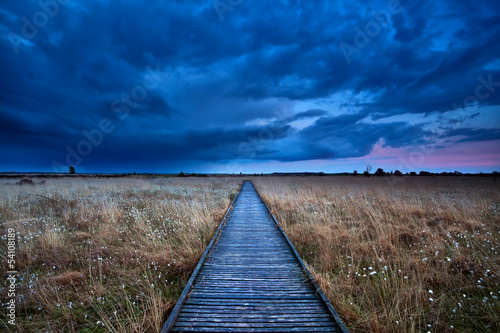 Fotografie wooden path through swamp