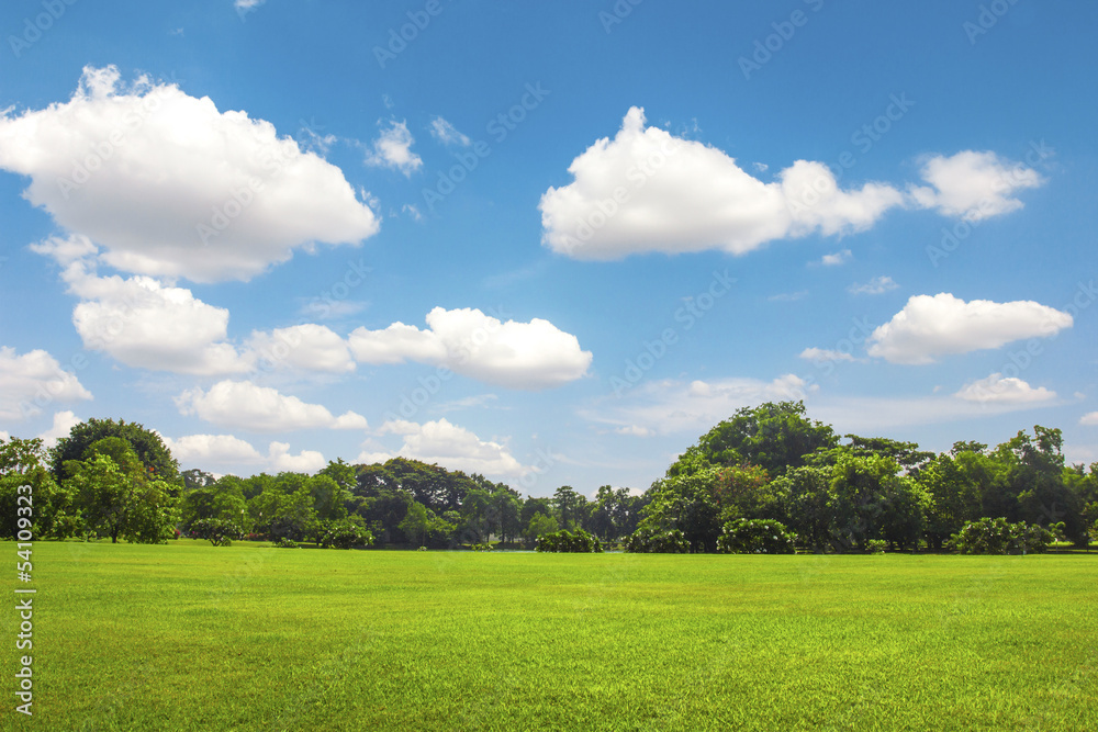 Green park outdoor with blue sky cloud