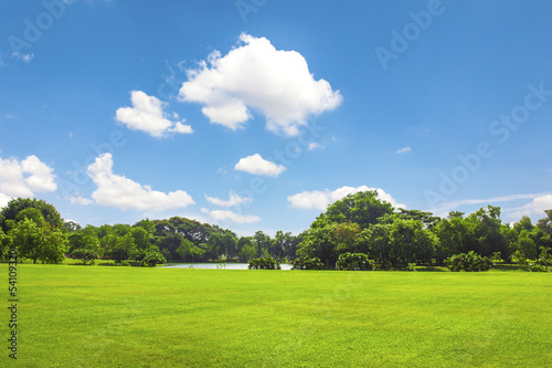 Green park outdoor with blue sky cloud