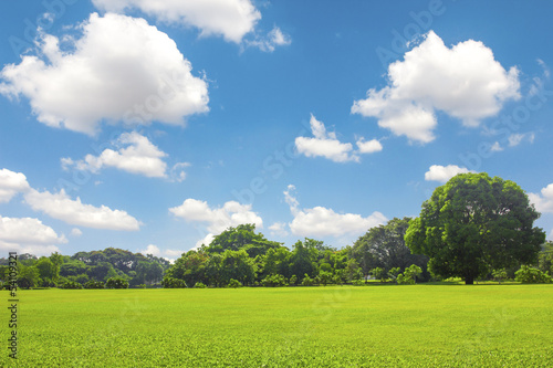 Green park outdoor with blue sky cloud