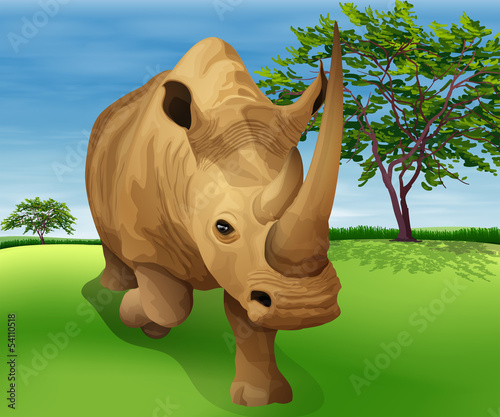 Rhinoceros