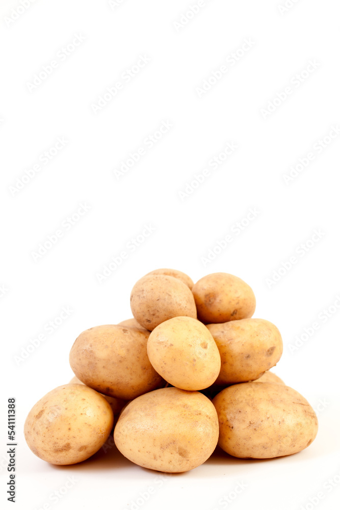 Fresh Potatoes Fresh Potatoes