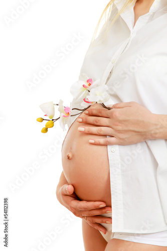 Portrait of a beautiful pregnant woman with a branch of flowers photo